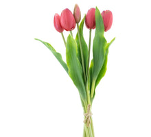 Real Touch Holland Tulip bundle Sally X5 beauty 36cm