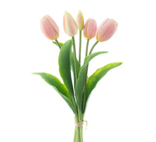 Real Touch Holland Tulip bundle Sally X5 pink 36cm
