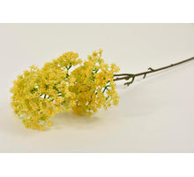 Holzkiste mit 6 Batteriegläsern 29x19x9cm natur