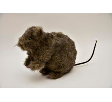 Rat bruin 34 cm