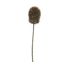 Take Me Home Leopard Plüsch liegend 42cm