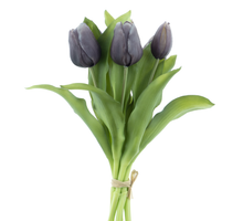 Vermeer tulip bundle x7 sally black 31cm