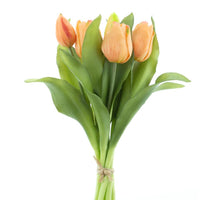 Real Touch Vermeer tulip bundle Sally X7 peach 31cm