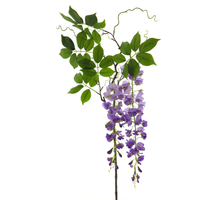 Wisteria Alara Sprühfarbe Lila 142cm