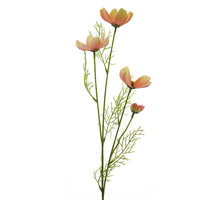 Cosmos chanel spray rosa 61cm