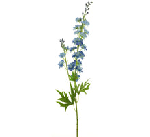Rittersporn finn spray blau 85cm