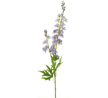 Rittersporn finn spray lila 85cm 12908