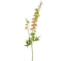 Rittersporn finn spray rosa 85cm