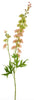 Rittersporn finn spray rosa 85cm