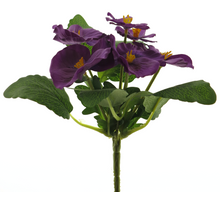 Viola 'Pick Purple' 20cm
