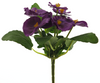 Viola 'Pick Purple' 20cm
