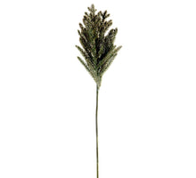Astilbe Spray braun 88cm