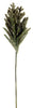 Astilbe Spray braun 88cm