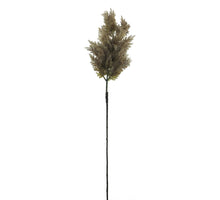 Pinus pine pick beau brown snowy 20cm