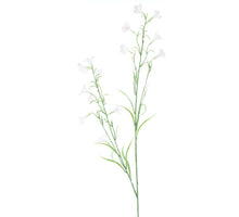 Campanula Spray reeva rosa 105cm