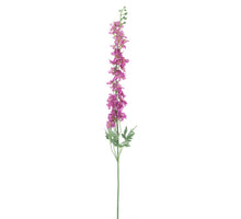 Rittersporn akana dk rosa 125cm
