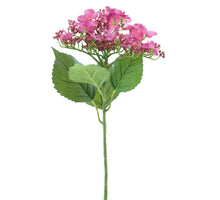 Schmetterlingshortensie Spray rot rosa70cm