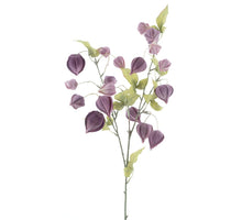 Physalis Fruchtspray Lahja lila 83cm