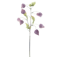Physalis Spray Lahja lila 54cm