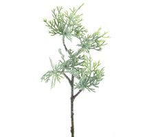 Zedernholzpickel Carly geeist 30cm