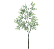 Zedernspray Carly vereist 80cm