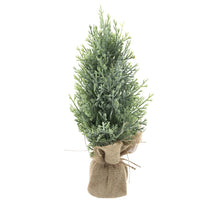 Zedern-Weihnachtsbaum Carly geeist 38cm