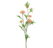 Bellis Spray rosa 82cm