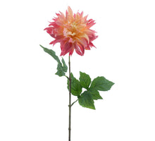 Dahlie Spray Mumba creme/rosa 63cm