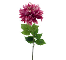 Dahlie Spray Mumba Schönheit 63cm