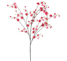 Neue Blüte Tokyo fuchsia 133cm