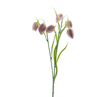 Fritillaria Spray rosa 60cm
