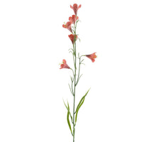 Mini-Petunie Spray rosa 72cm