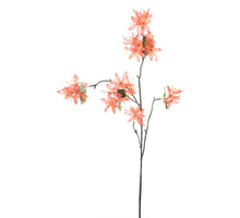 Wilde Clematis Spray rot 81cm