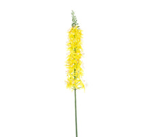 Eremurus Spray gelb 105cm