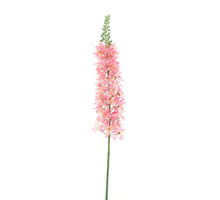 Eremurus spray rosa 105cm