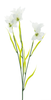 Wild Cora Bell Spray Weiß 63cm