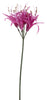 Nerine Spray fuchsie 91cm