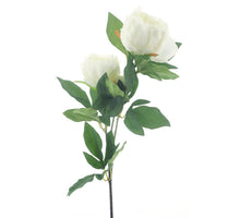 Pfingstrose Spray Chiba Creme 65cm
