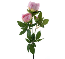 Pfingstrose Spray Chiba rosa 65cm