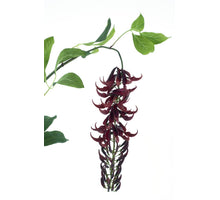 Wilde Glyziniengirlande rot 162cm