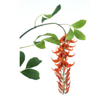 Wilde Glyziniengirlande orange 162cm