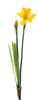 Real touch Narzisse alverna spray orange/gelb 52cm