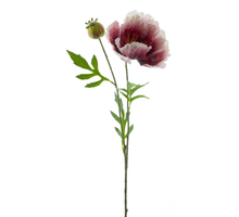Poppy spray new wave beauty 82cm