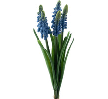 Muscari Bündel blau 27cm