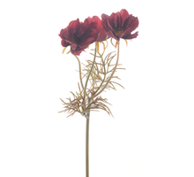 Cosmos Spray Burgunder 28cm