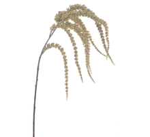 Amaranthus Sprühcreme 102cm