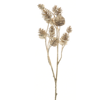 Kegelsprühgerät Gold 73cm