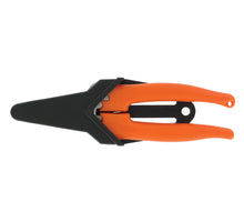 Hobbyfisch mit Haube