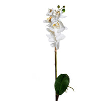 BÜNDEL 6 ROSE 33CM ROSA