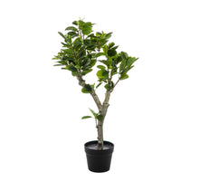 BÜNDEL 6 ROSEN 33CM GELB